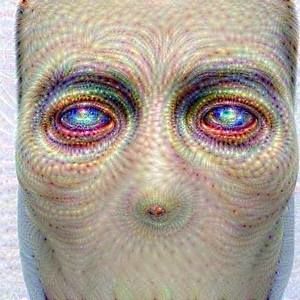 Meet your Posher, Tim